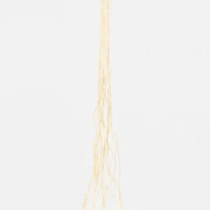 Cascata 1200 LED luce calda lunghezza 300cm