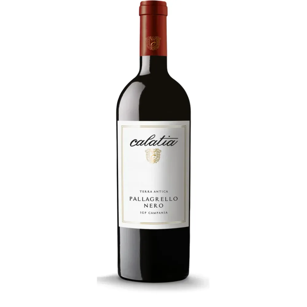 Pallagrello Nero 2021 - Calatia
