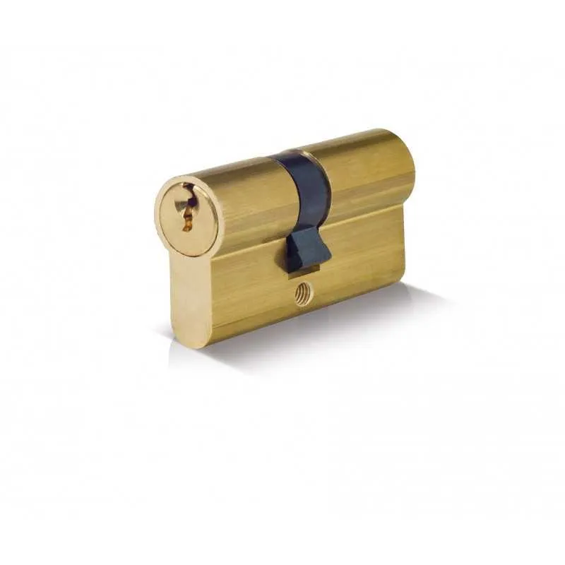 Cilindro sagomato ft italy - mm.62-31/31 - cam compatibile con Garanzia 2 Anni
