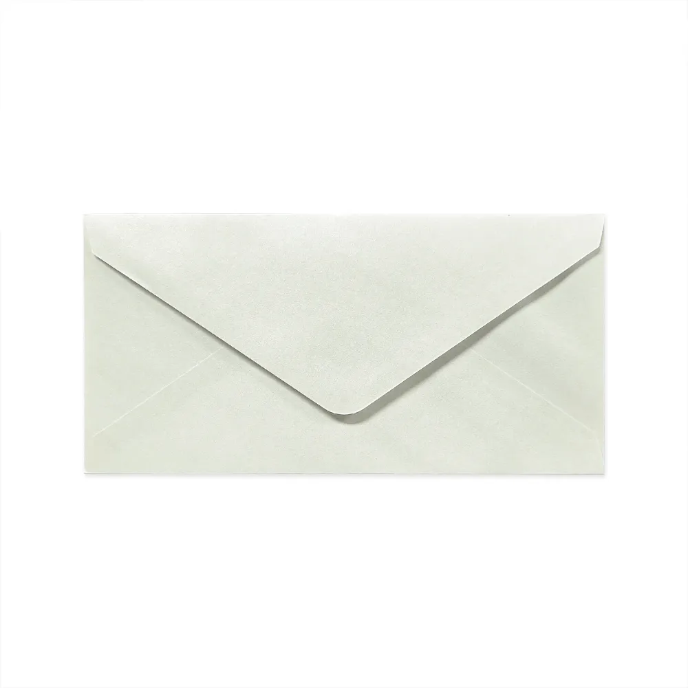 110x220 mm (DL) Busta Ostrica Lucido