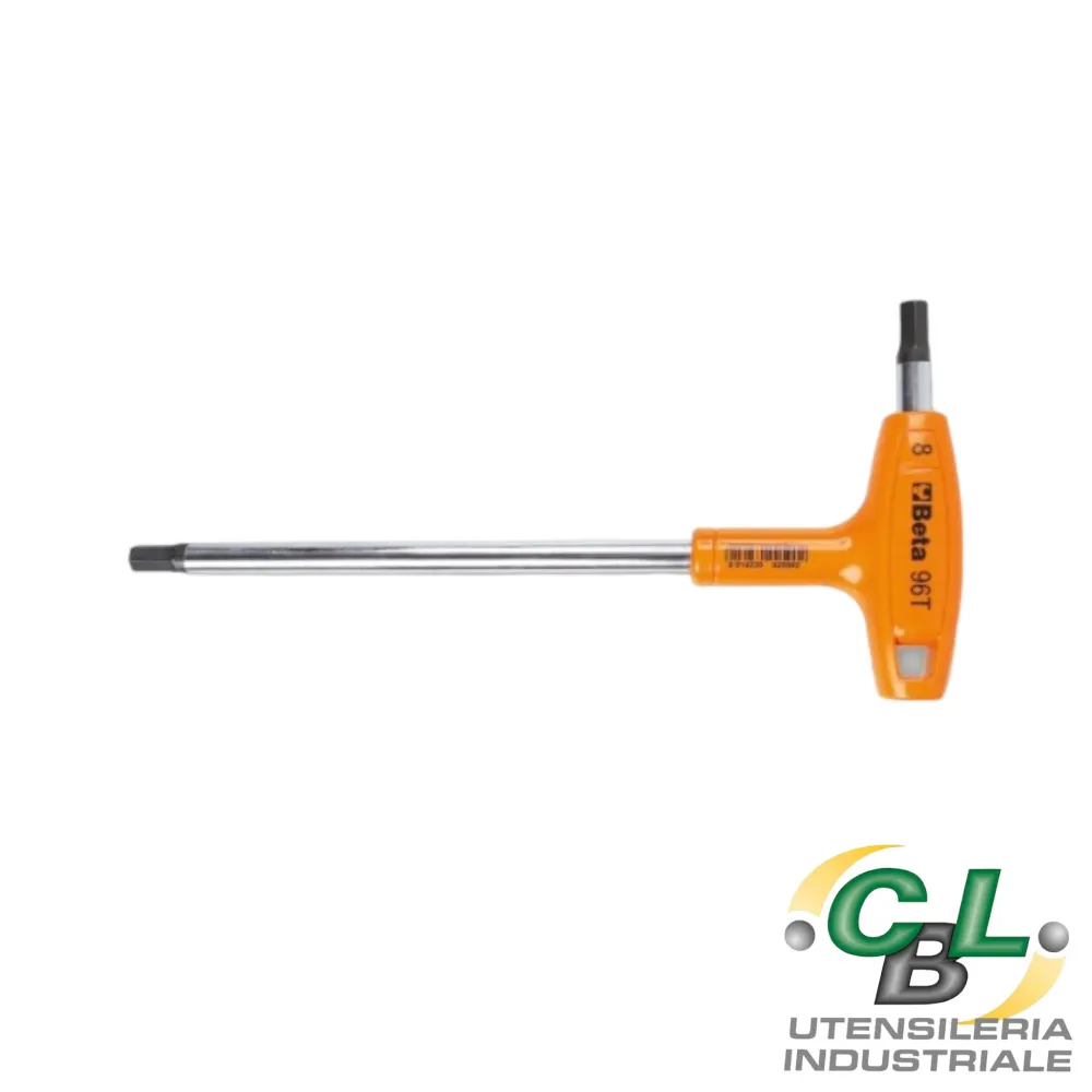 CHIAVE MASCHIO ESAGONALE CON IMPUGNATURA 96T 10 mm
