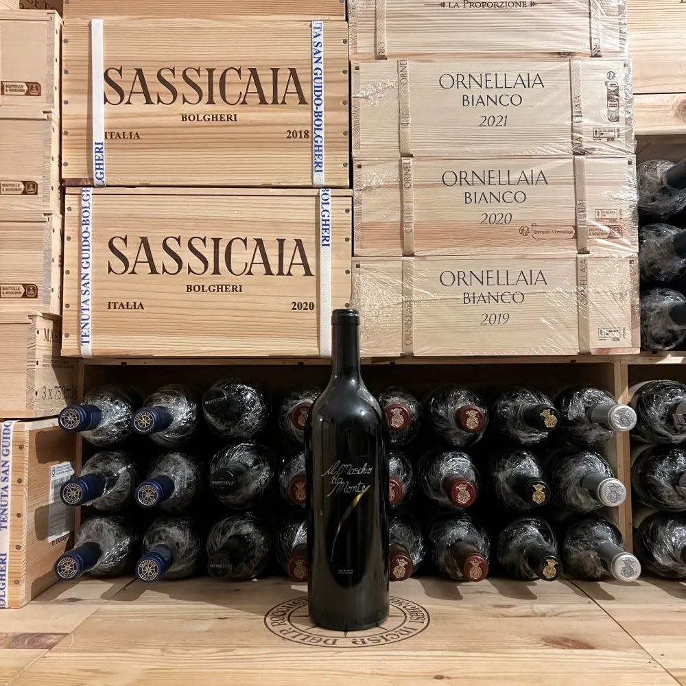 Il Maschio da Monte 2022 Rosso Piceno DOC Santa Barbara
