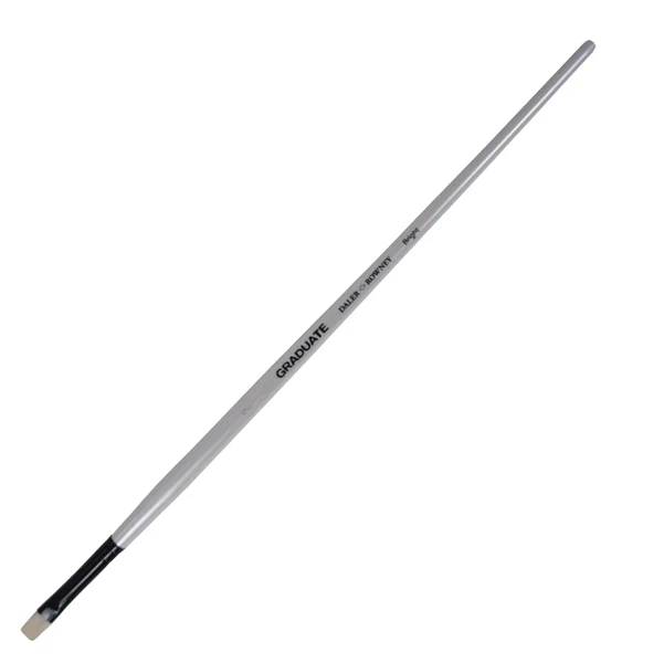 Pennello Setola Naturale Graduate Piatto Corto N.6 Manico Lungo Daler Rowney