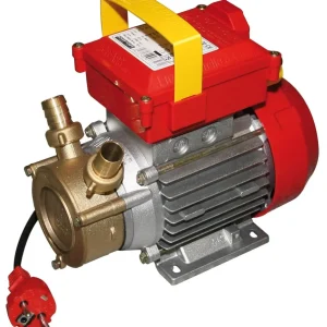 Pompa elettrica da travaso rotazione reversibile 340 W raccordi 20 mm - Rover