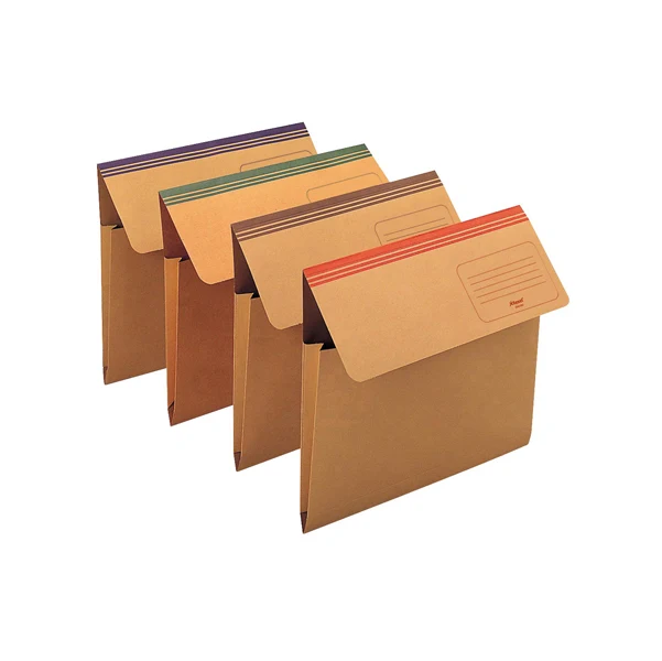 REXEL - 00029955 - Cartellina busta Dixie Mec - 200 gr - 33,7 x 26,2 cm - cartoncino avana - colori assortiti - Rexel - 54...