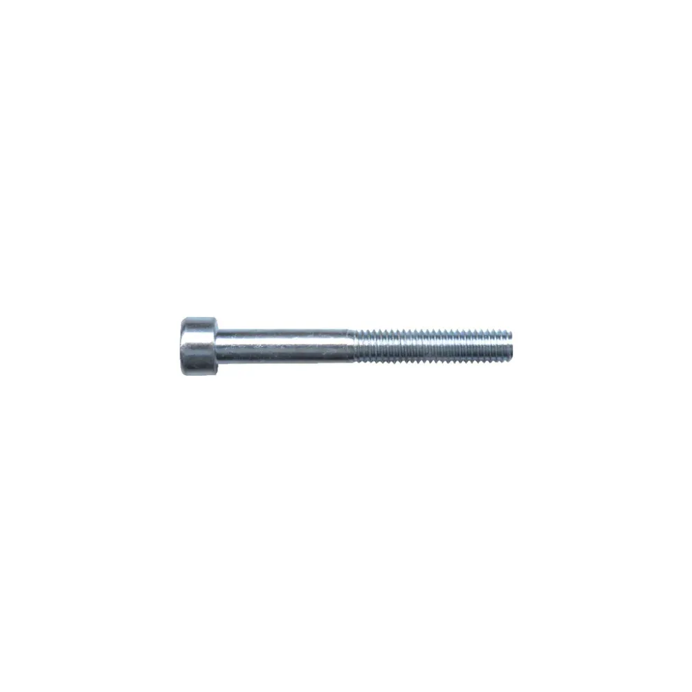 Viti testa cilindrica con esagono incassato ISO4762/DIN912 12.9 zincate